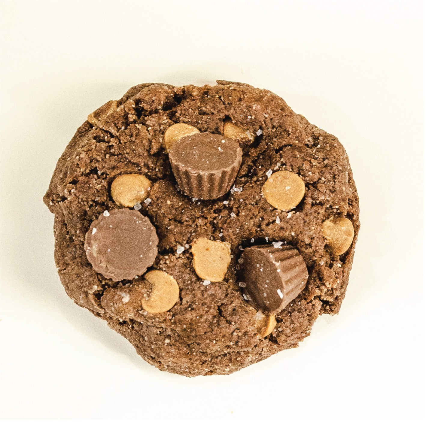 Chocolate Peanut Butter Cookie